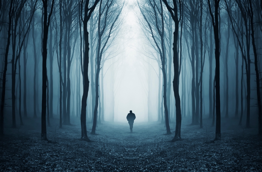 homem sozinho em meio à uma floresta durante a noite