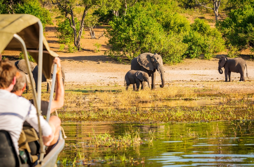 três elefantes na beira de um lago sendo observados por turistas em um carro safari
