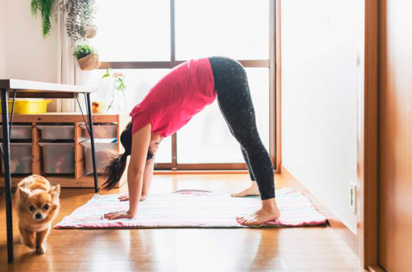mulher usando blusa cor de rosa e uma legging preta praticando yoga em casa ao lado de um cachorro