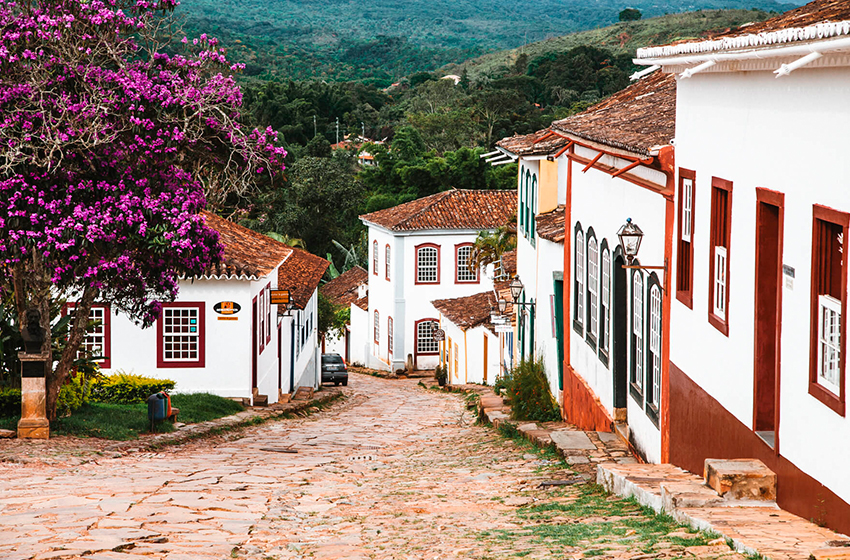  Minas Gerais no Campo: Descubra as Fazendas e Sítios