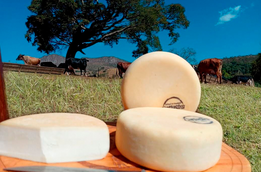 queijo mineiro em mesa de madeira com uma fazenda ao fundo