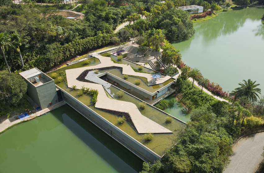  Inhotim e o Instituto Inhotim: Um Olhar sobre a Conexão entre Arte, Natureza e Inovação